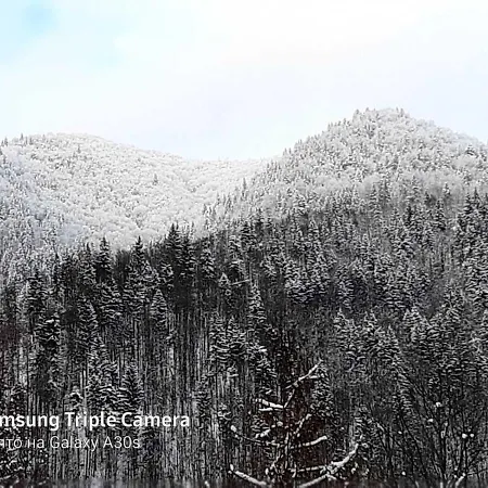 усадьба в горах кристиан Гостевой дом Ust'-Chorna
