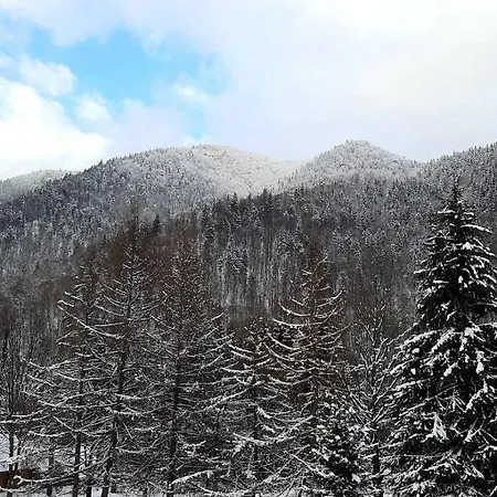 Гостевой дом усадьба в горах кристиан *