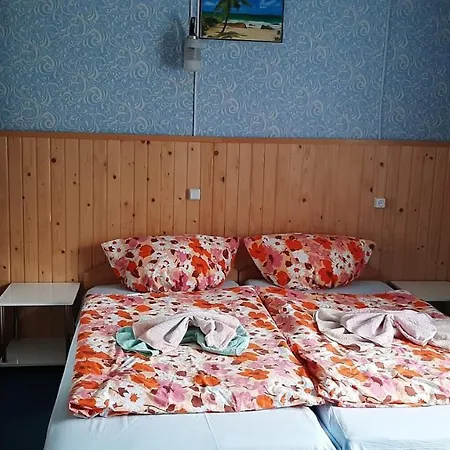 בית הארחה в горах крістіан Ust'-Chorna