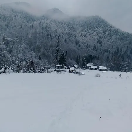 Гостевой дом усадьба в горах кристиан Ust'-Chorna